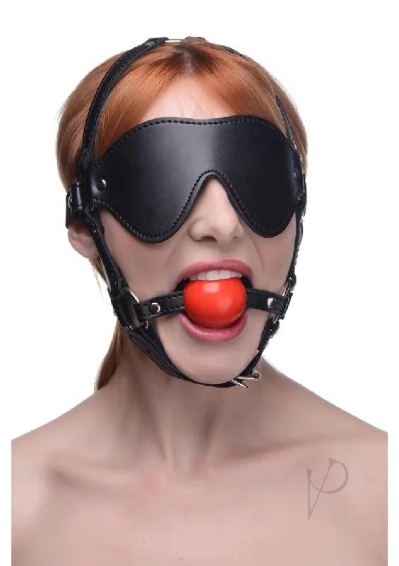 Strict Blindfold Harness W/gag